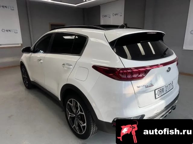 Kia Sportage Sportage The Bold 2019 года - вид 2
