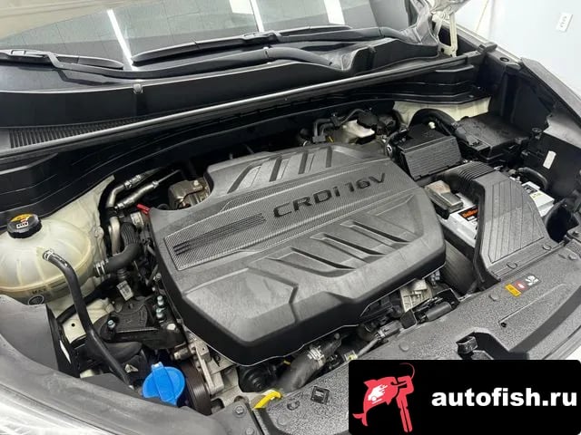 Kia Sportage Sportage The Bold 2019 года - вид 6