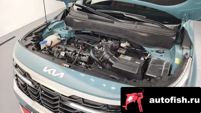 Kia Seltos The New Celtos 2024 года - вид 6