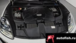 Миниатюра 6