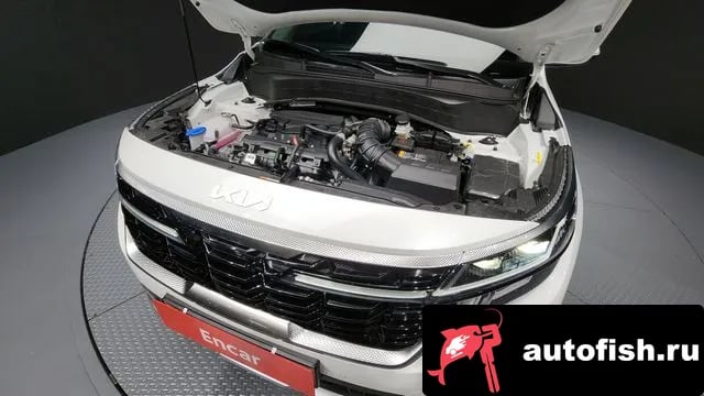 Kia Seltos The New Celtos 2025 года - вид 6