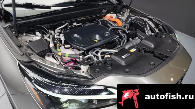 Lexus NX NX450h + 2nd generation 2023 года - вид 6