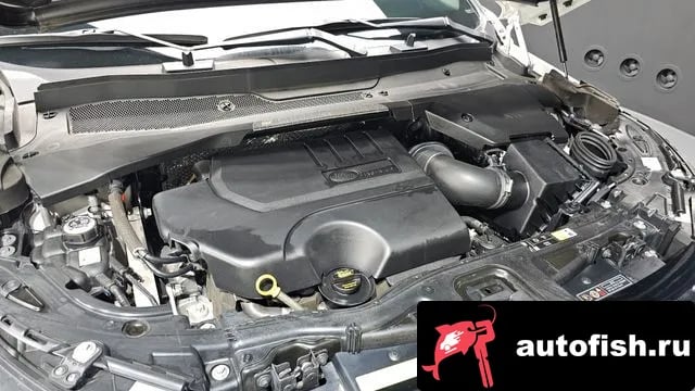 Land Rover Discovery Sport Discovery Sports 2nd Generation 2021 года - вид 5