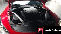 Миниатюра 6