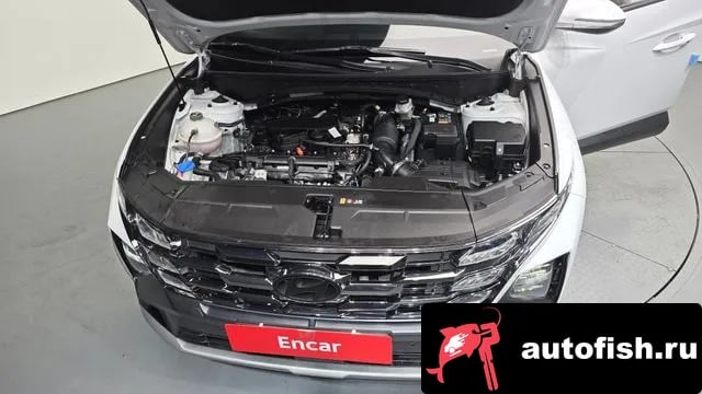 Hyundai Tucson The New Tucson (NX4) 2024 года - вид 6