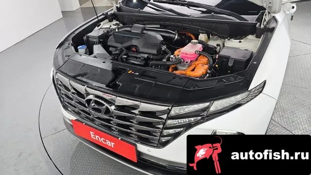 Hyundai Tucson Tucson Hybrid (NX4) 2020 года - вид 6