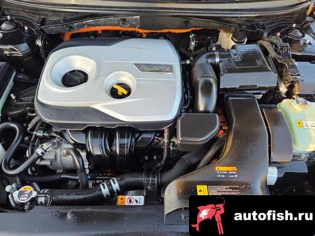 Hyundai Sonata Sonata New Rise Hybrid 2019 года - вид 6