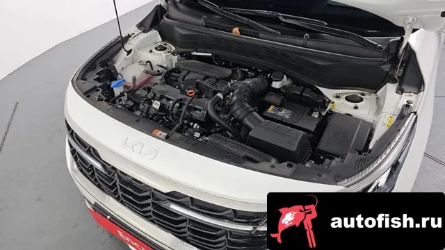 Kia Seltos The New Celtos 2024 года - вид 6