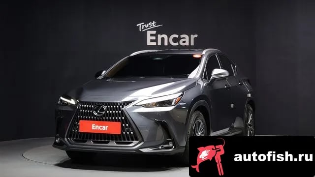 Lexus NX NX450h + 2nd generation 2024 года - похожие автомобили