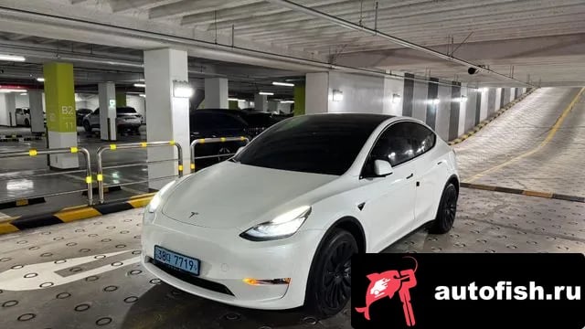 Tesla Model Y Model Y 2022 года - похожие автомобили