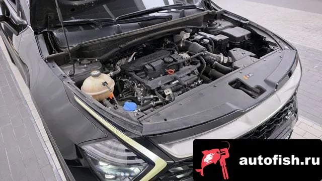 Kia Sportage Sportage 5th Generation 2022 года - вид 5