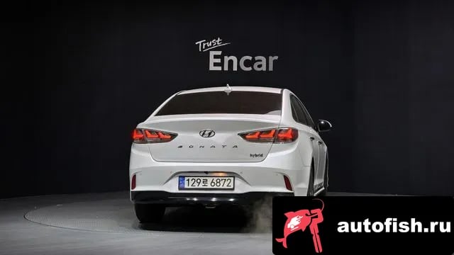 Hyundai Sonata Sonata New Rise Hybrid 2018 года - вид 4