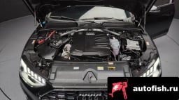 Миниатюра 6