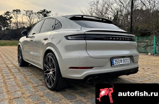 Porsche Cayenne Cayenne (PO536) 2024 года - вид 6