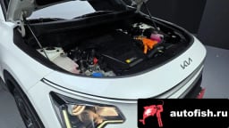 Миниатюра 6