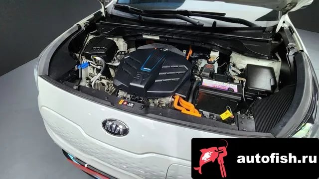 Kia Niro Niro EV 2021 года - вид 6