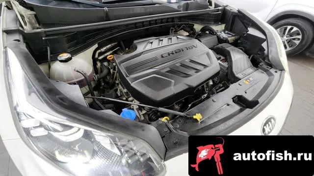 Kia Sportage Sportage The Bold 2018 года - вид 6