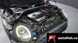 Миниатюра 5