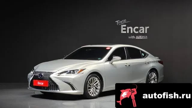 Lexus ES ES300h 7th generation 2020 года - вид 1