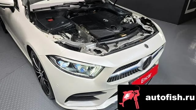 Mercedes-Benz CLS-Class CLS-Class C257 2020 года - вид 6