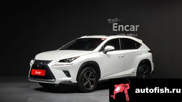 Lexus NX NX300h 2021 года - вид 1