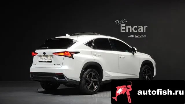 Lexus NX NX300h 2021 года - вид 2