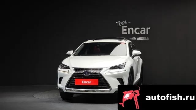 Lexus NX NX300h 2021 года - вид 3