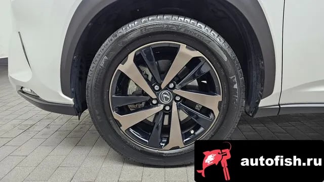 Lexus NX NX300h 2021 года - вид 5