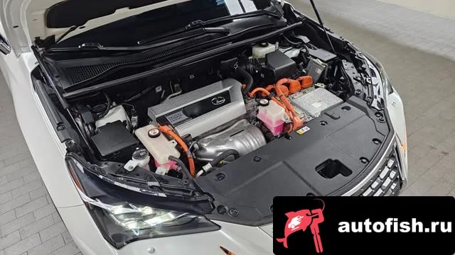 Lexus NX NX300h 2021 года - вид 6