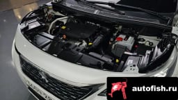 Миниатюра 6