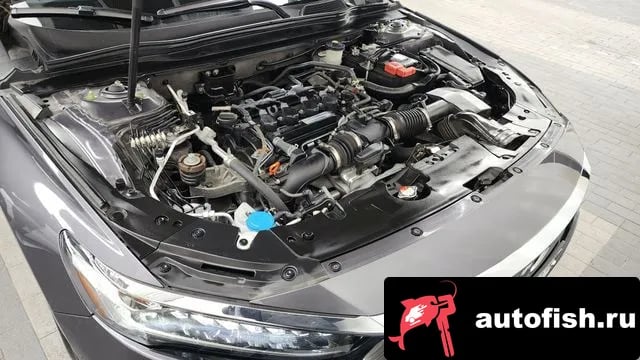 Honda Accord Accord 10th Generation 2019 года - вид 6