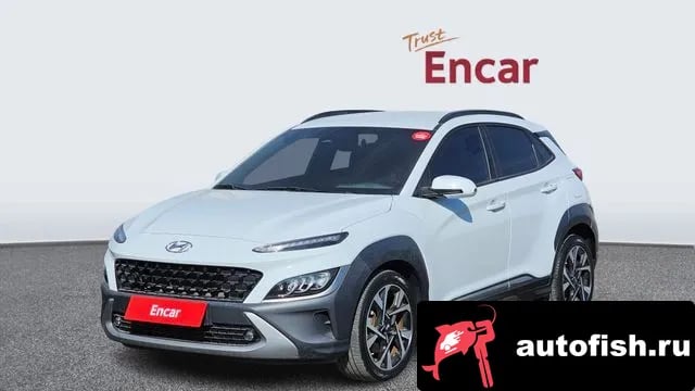 Hyundai Kona The New Kona 2020 года - вид 1