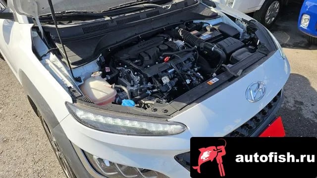 Hyundai Kona The New Kona 2020 года - вид 6