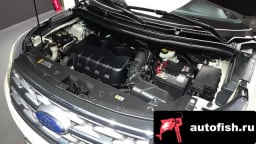 Миниатюра 6