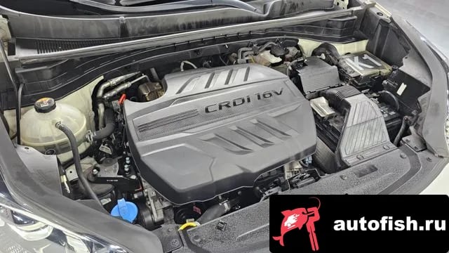 Kia Sportage Sportage The Bold 2020 года - вид 6