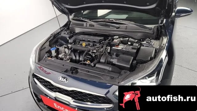 Kia K3 Come New K3 2019 года - вид 6