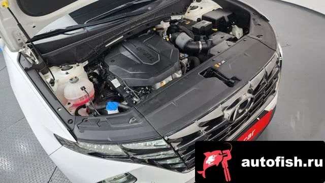 Hyundai Tucson Tucson (NX4) 2021 года - вид 6