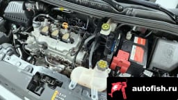 Миниатюра 6