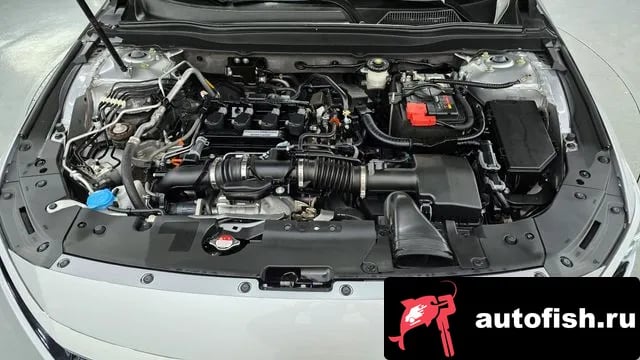 Honda Accord Accord 10th Generation 2019 года - вид 6