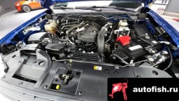 Миниатюра 6