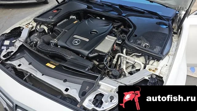 Mercedes-Benz E-Class E-Class W213 2021 года - вид 6