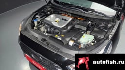 Миниатюра 6