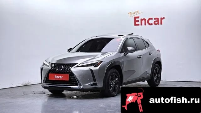 Lexus UX UX250h 2020 года - вид 1