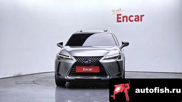 Lexus UX UX250h 2020 года - вид 3