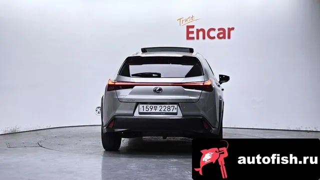 Lexus UX UX250h 2020 года - вид 4