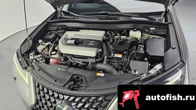 Lexus UX UX250h 2020 года - вид 6