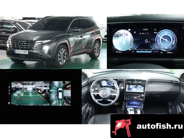 Hyundai Tucson Tucson Hybrid (NX4) 2022 года - вид 1