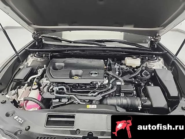 Lexus ES ES300h 7th generation 2024 года - вид 5