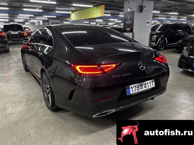 Mercedes-Benz CLS-Class CLS-Class C257 2020 года - вид 2