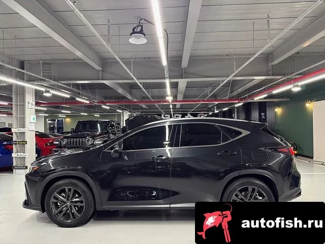 Lexus NX NX350h Second generation 2025 года - вид 4